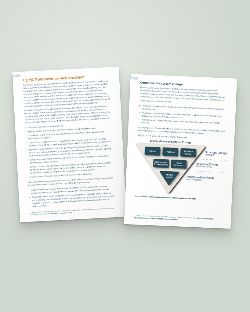 Pages with diagrams of the programme's service provision and the conditions for systems change